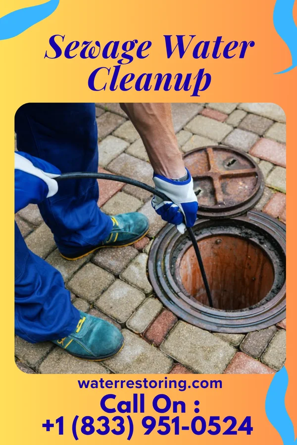 Sewage Water Cleanup in Oaktown, IN